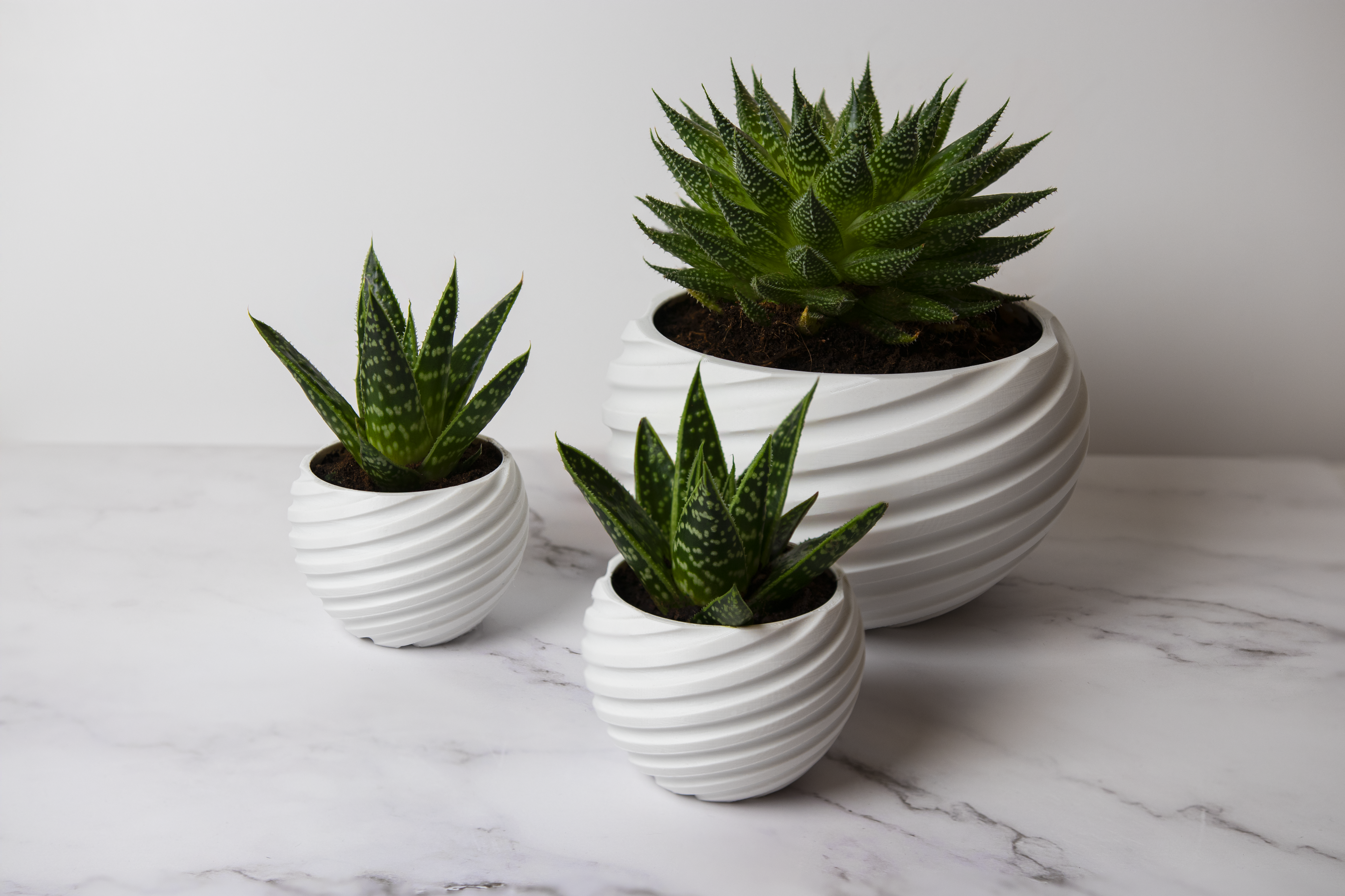 Spiral Planter