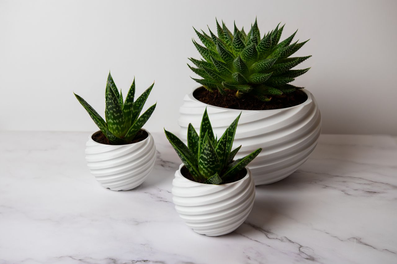 3 Parça Spirat Detaylı Geniş Çiçek yada Skulent Saksısı 16 cm