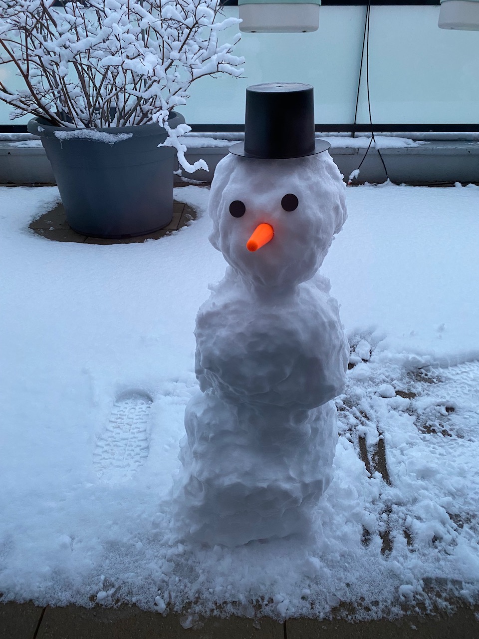 Snowman eyes and nose by robin download free stl model printables