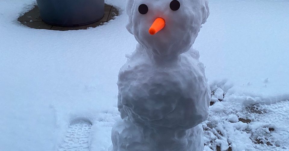 Snowman eyes and nose by robin download free stl model printables