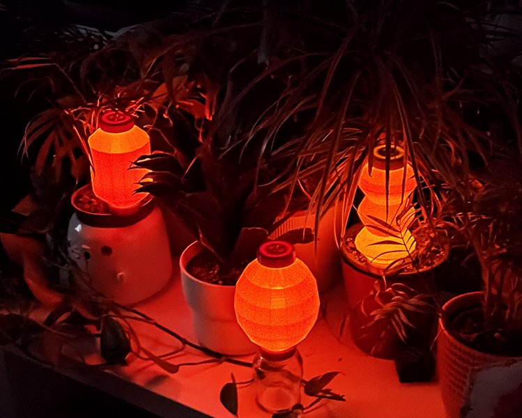 Lunar (Chinese) New Year Lantern