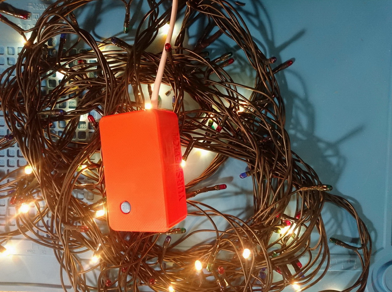 Garland Controller Case