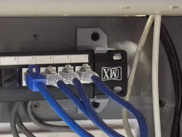 24 Port Patch Panel