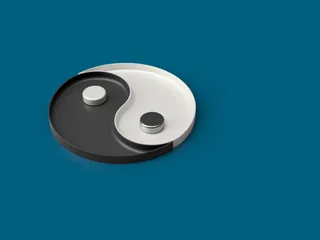 Yin Yang tray