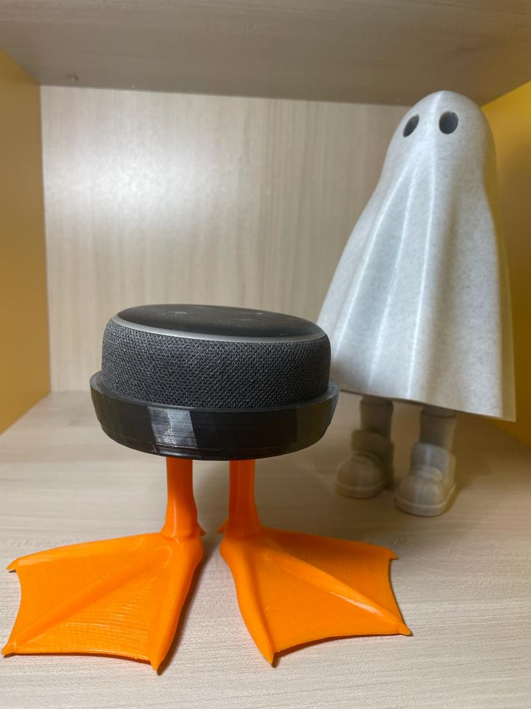 ALEXA DUCK