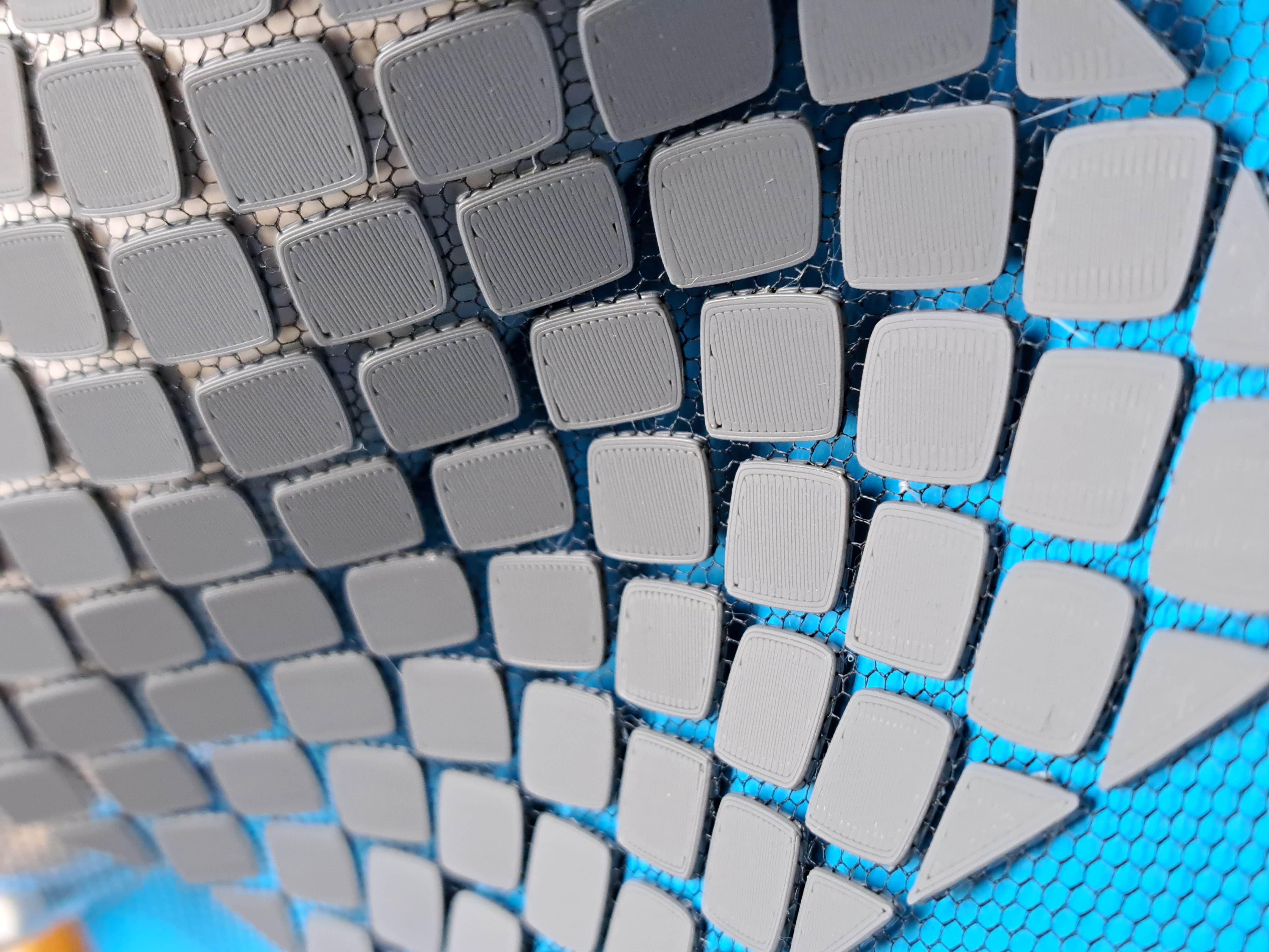 Snake Skin Pattern / Textile, Tulle