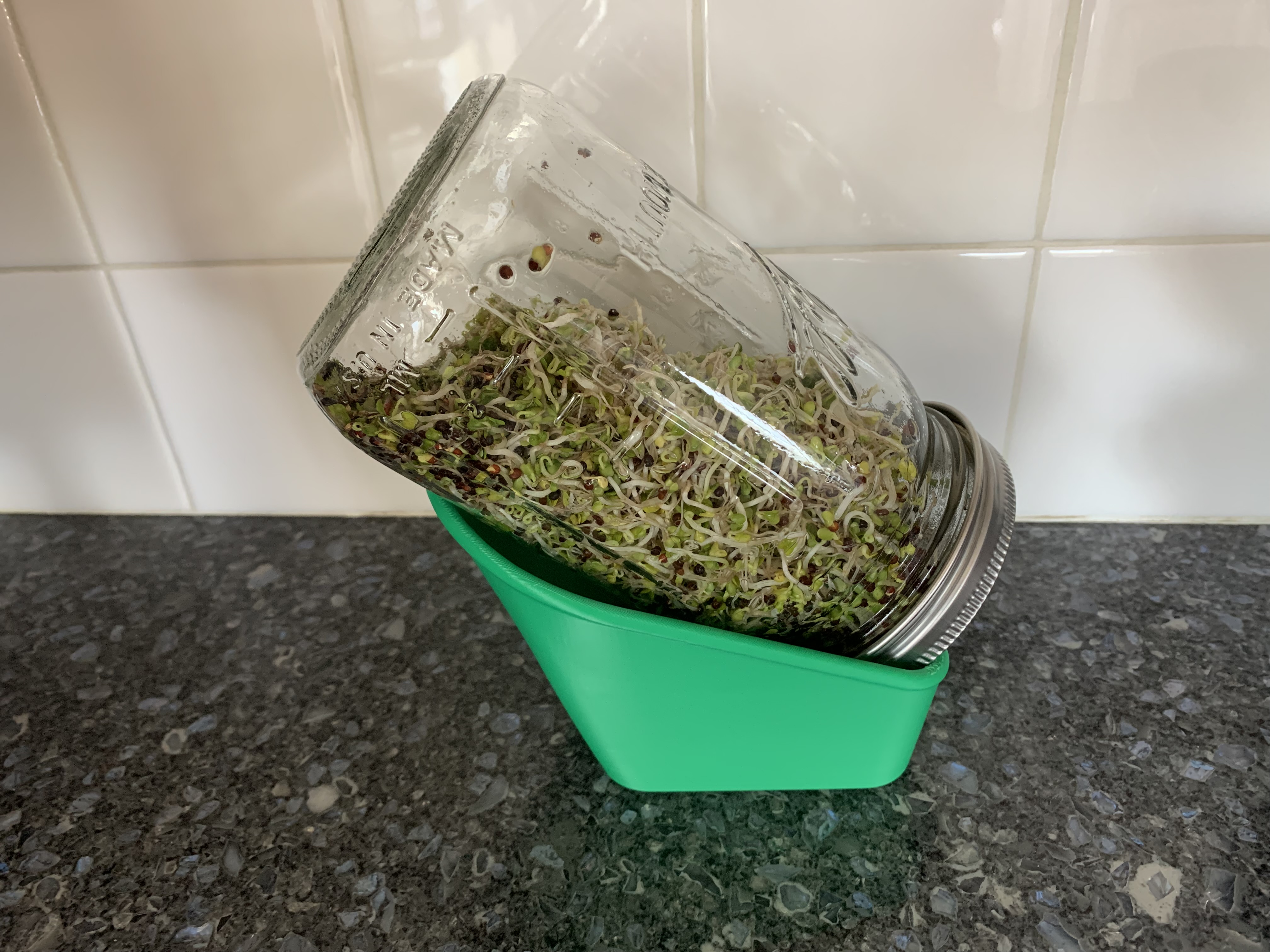 Sprout Jar Drain Tray