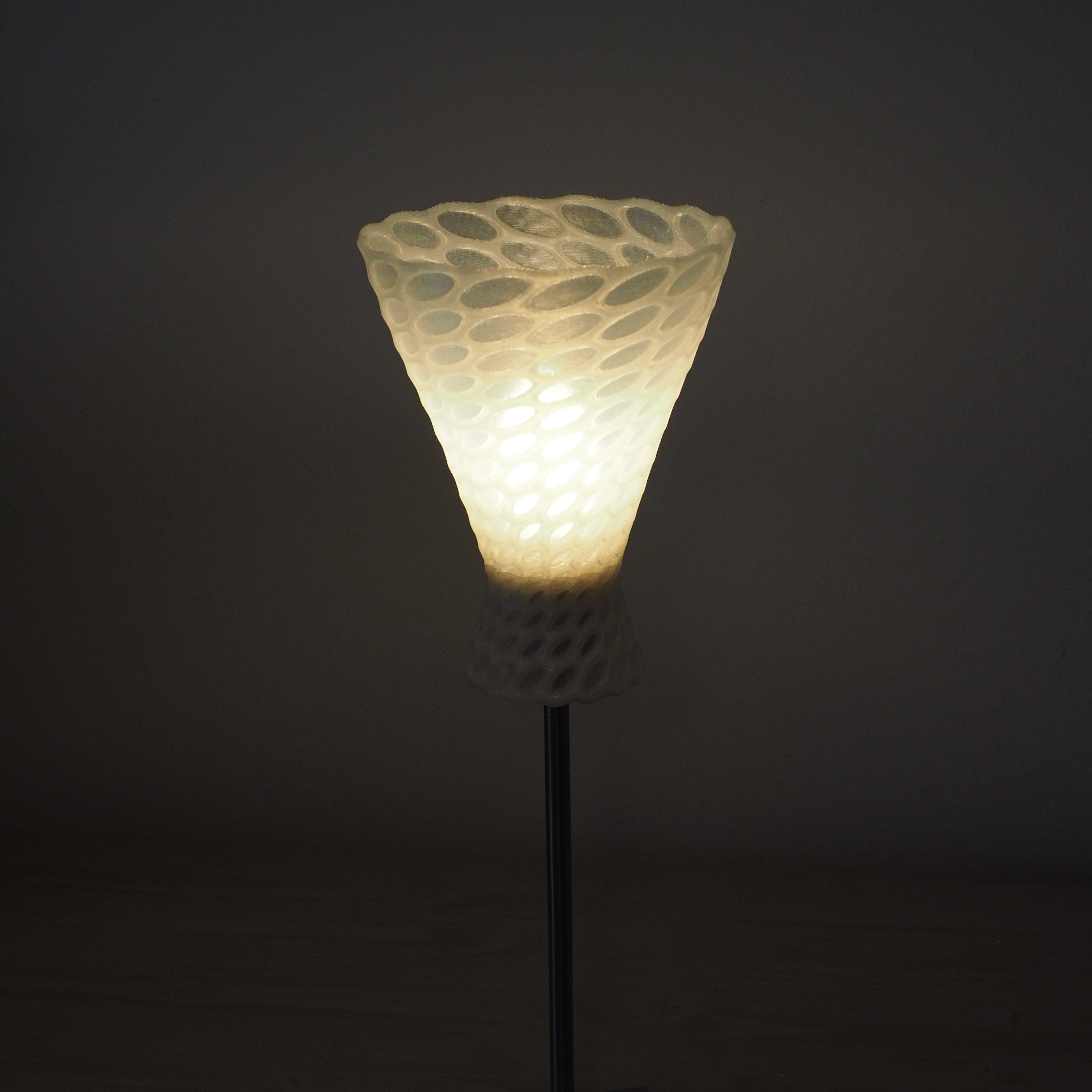 Organic Geometry Lamp Shade