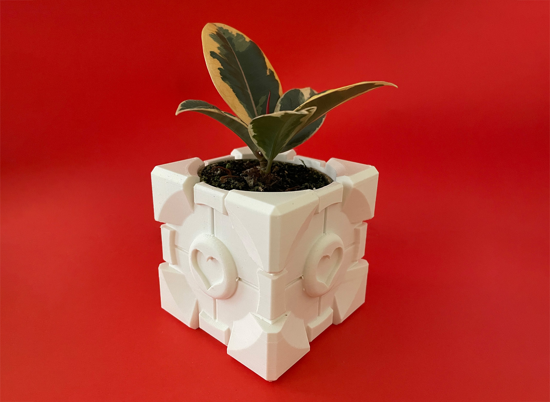 Companion Cube Planter (+ Plant Pot)