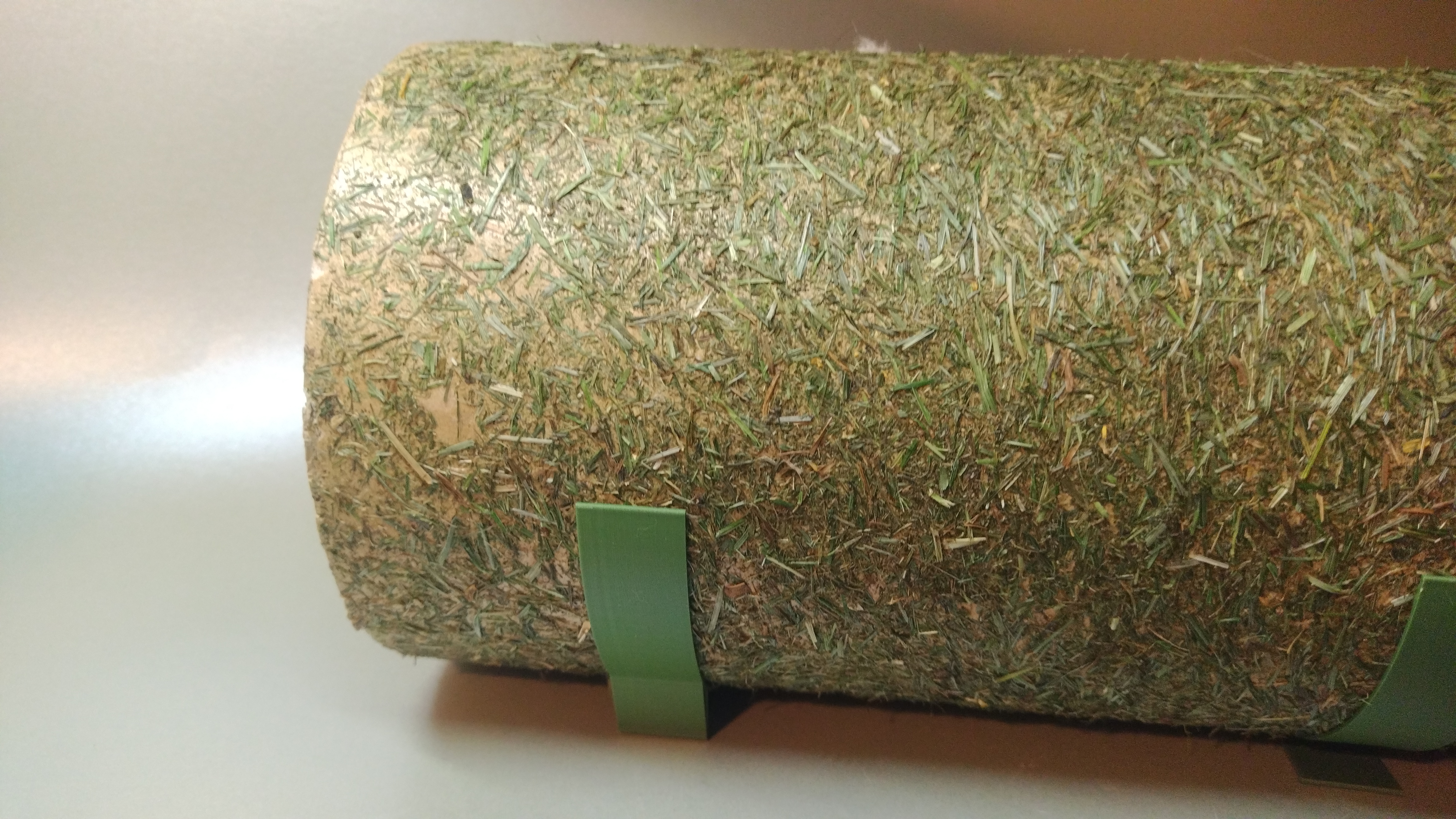 Hay tunnel support for guinea pigs