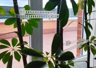 Brida multihusos reutilizable (plantas, cables, etc)