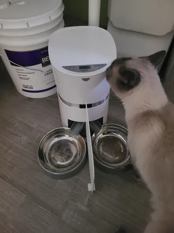 Automatic Dual Cat Feeder Divider