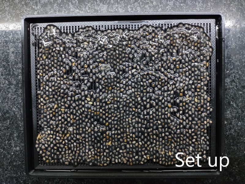 Miniatura 3 do modelo 3D Seed germinator