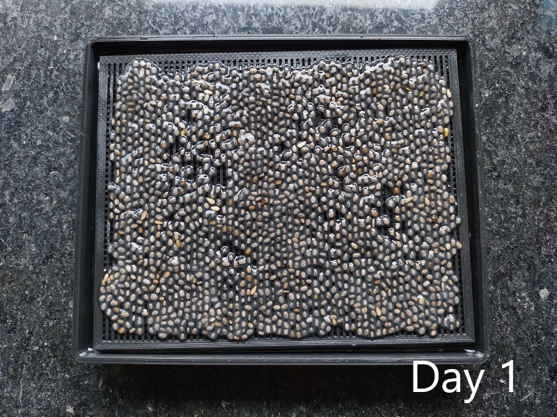 Seed germinator by 3Dmonios Download free STL model