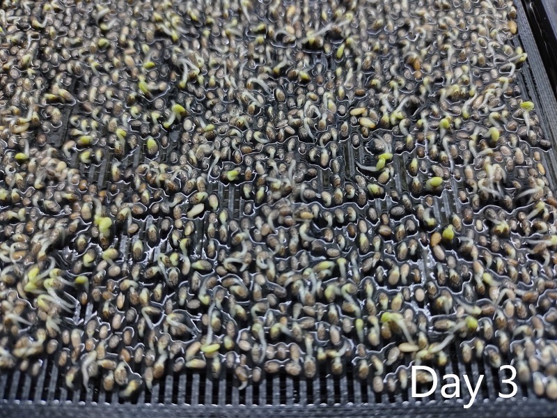 Miniatura 10 do modelo 3D Seed germinator