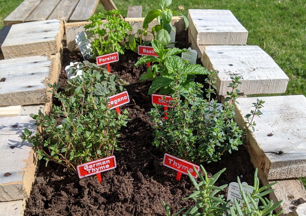Plant Marker Label