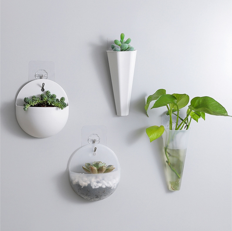 Planter 21 - Hang In There, Set