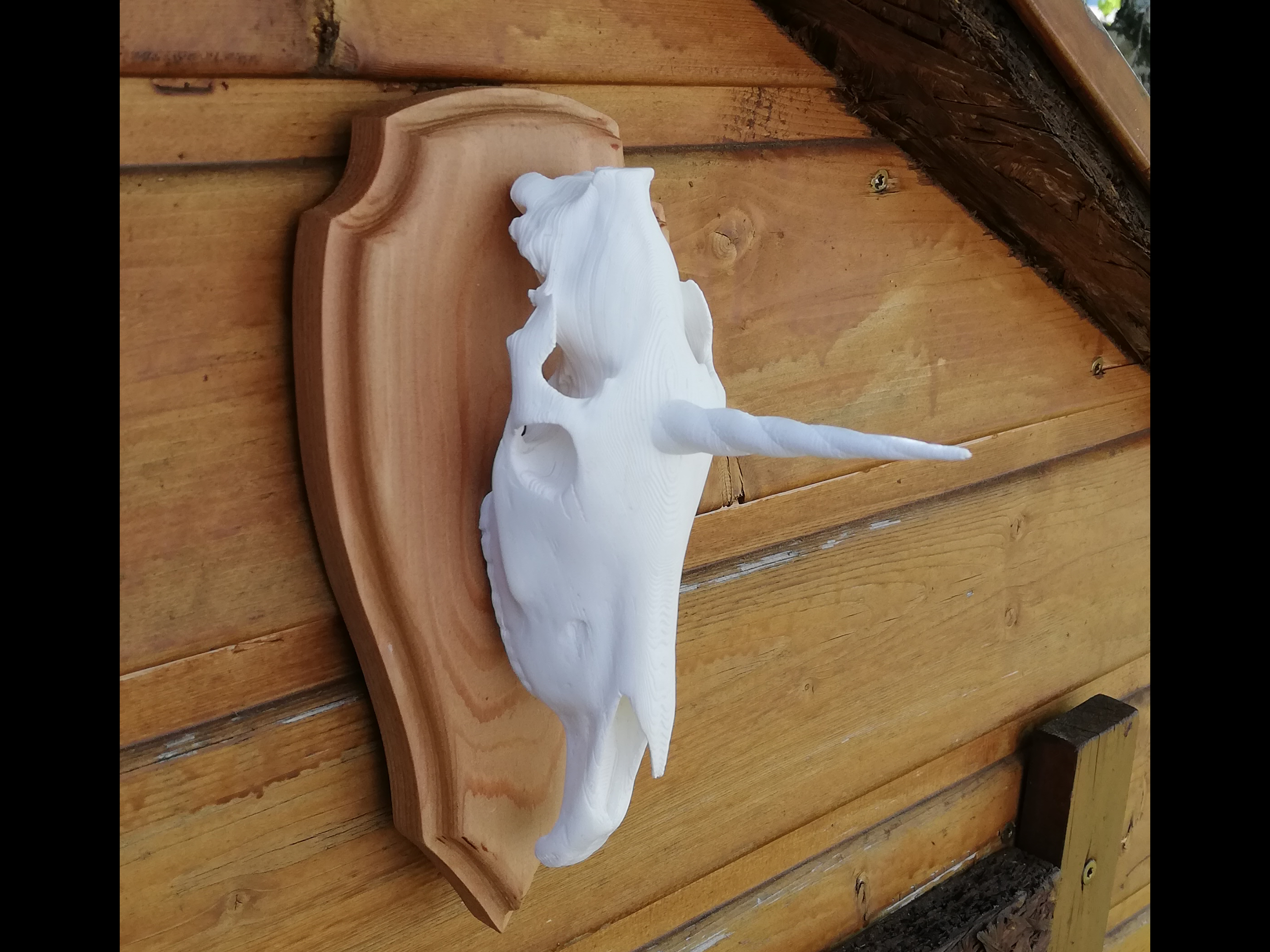 Unicorn hunting trophy