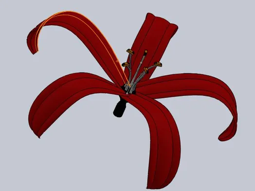 flower Lilly