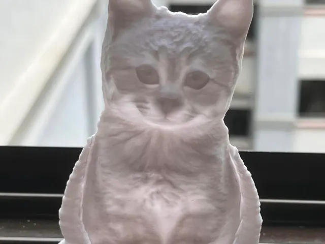 Kitten Lithophane