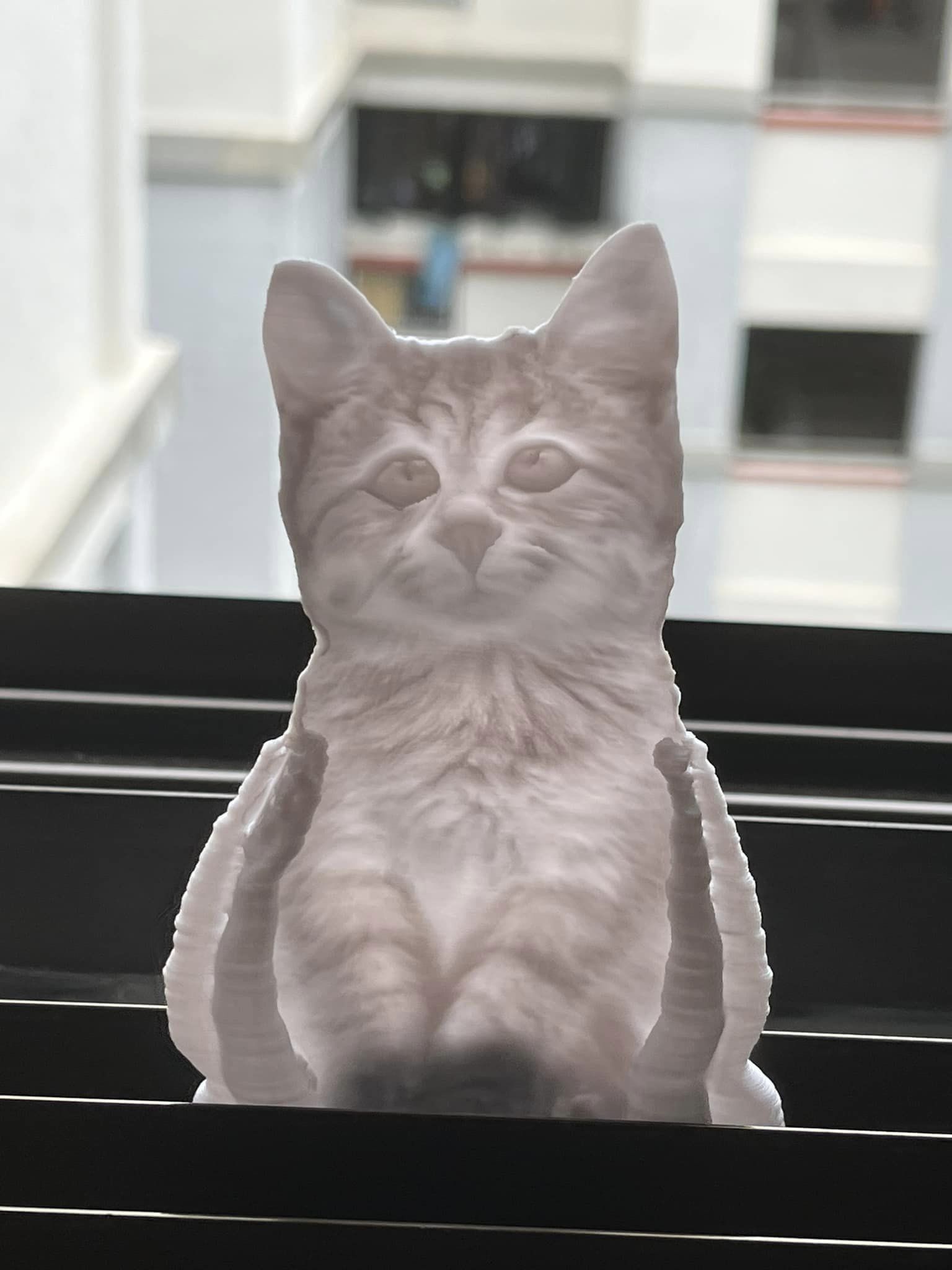 Miniatura 2 do modelo 3D Kitten Lithophane