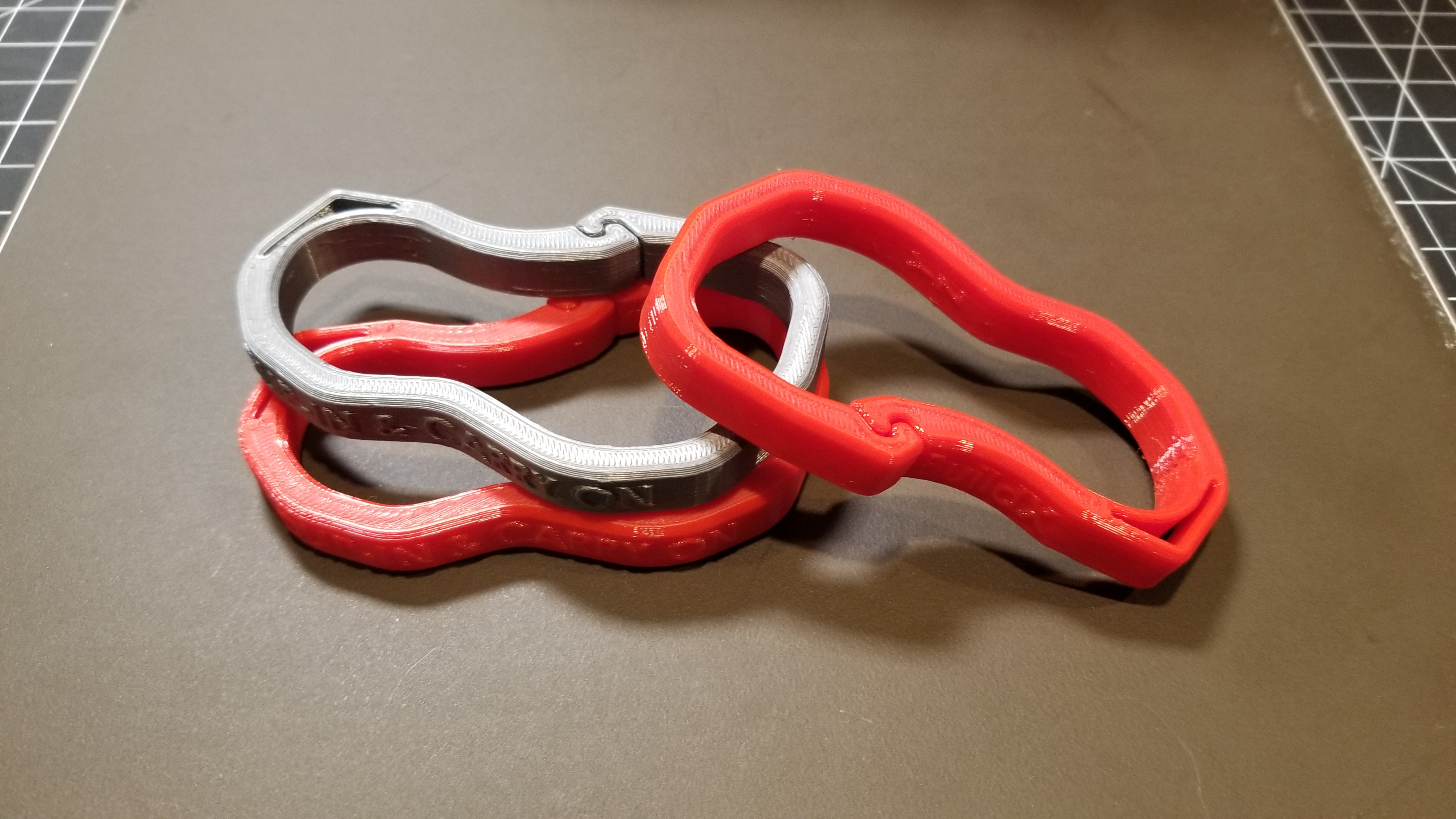 #0054 Rugged Carabiner 5 - with a message