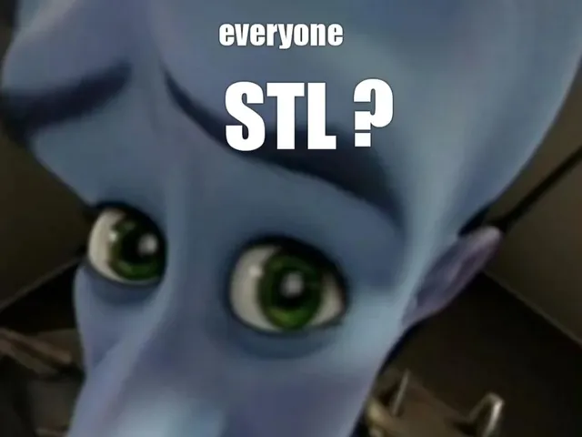 No stl meme