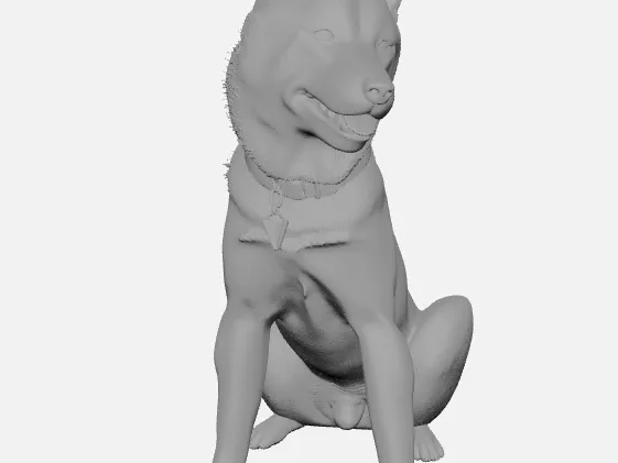 Totoro_ShibaInu