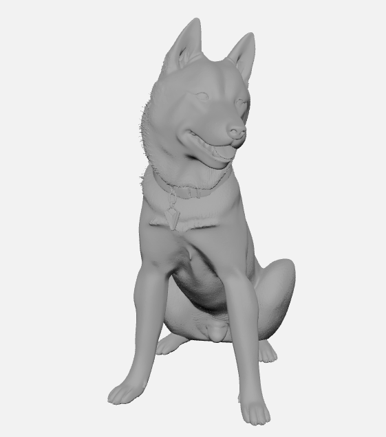 Totoro_ShibaInu