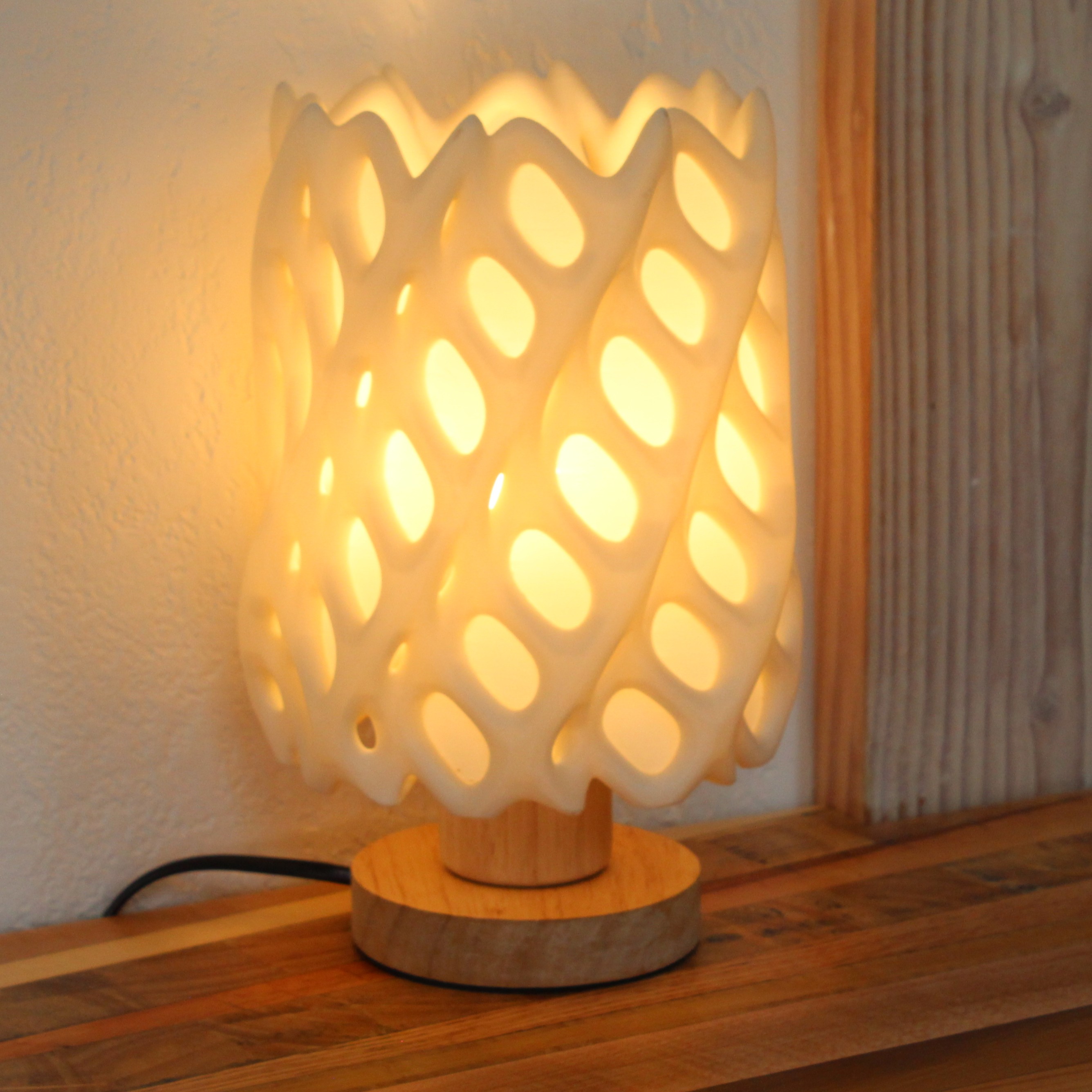 Cholla Cactus Lamp