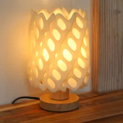 Cholla Cactus Lamp
