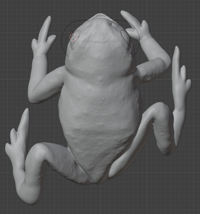Miniatura 5 do modelo 3D Pumpkin Toadlet (small, screaming)