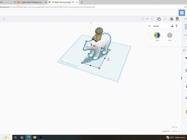 polar bear rider