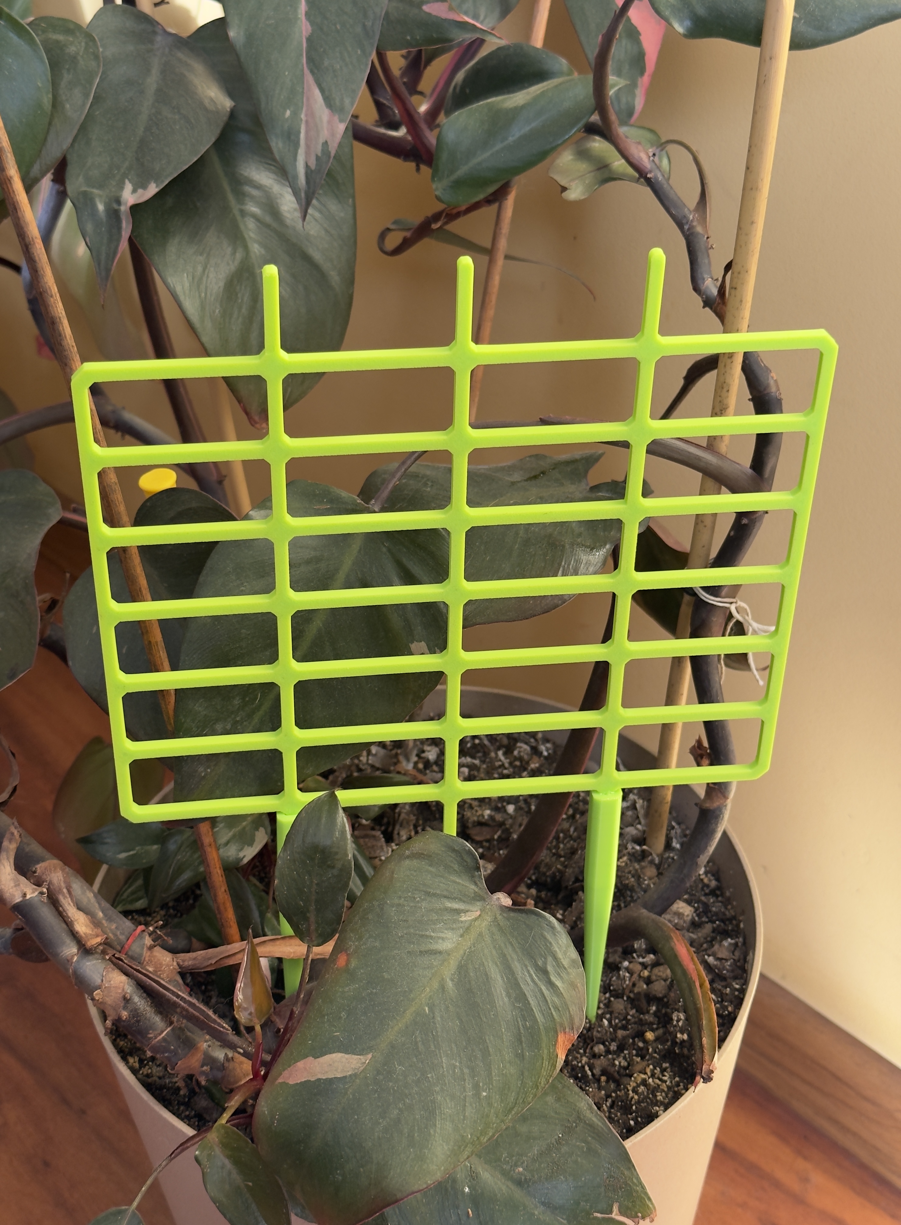 Plants support
