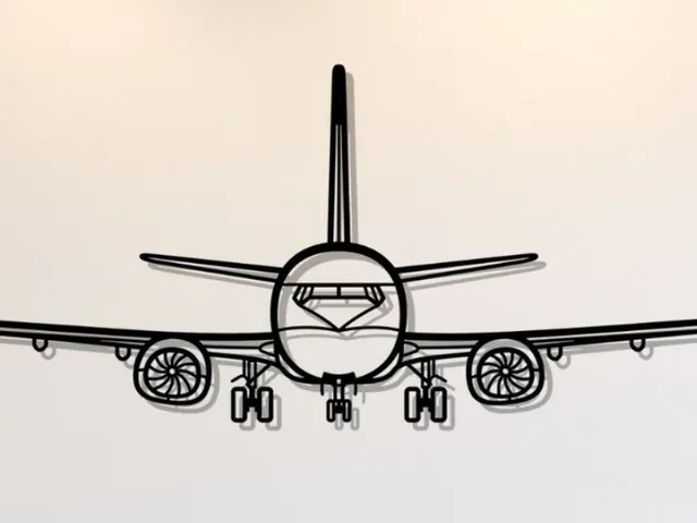 Boeing 737-800NG Wall Art