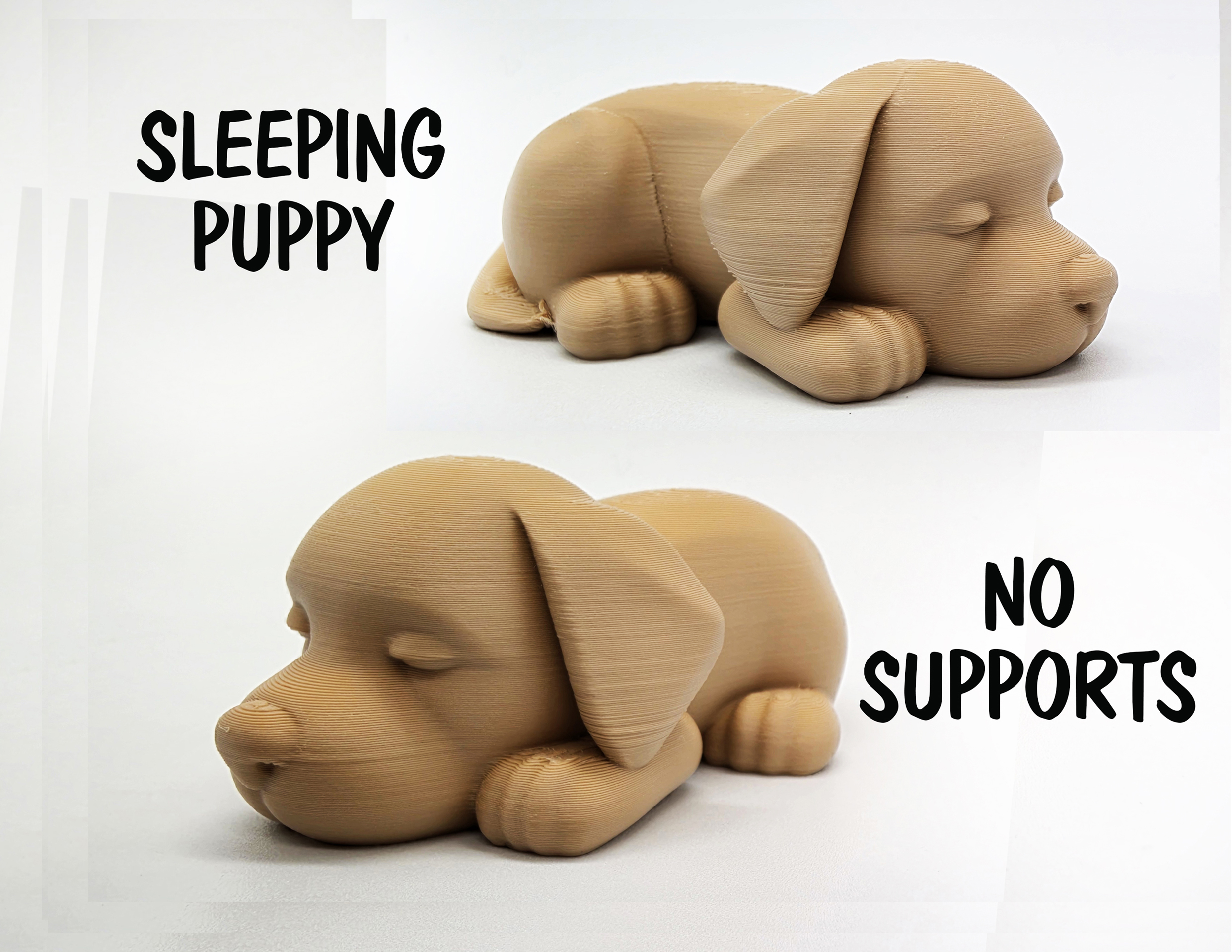 Cute Sleeping Puppy - No Supports
