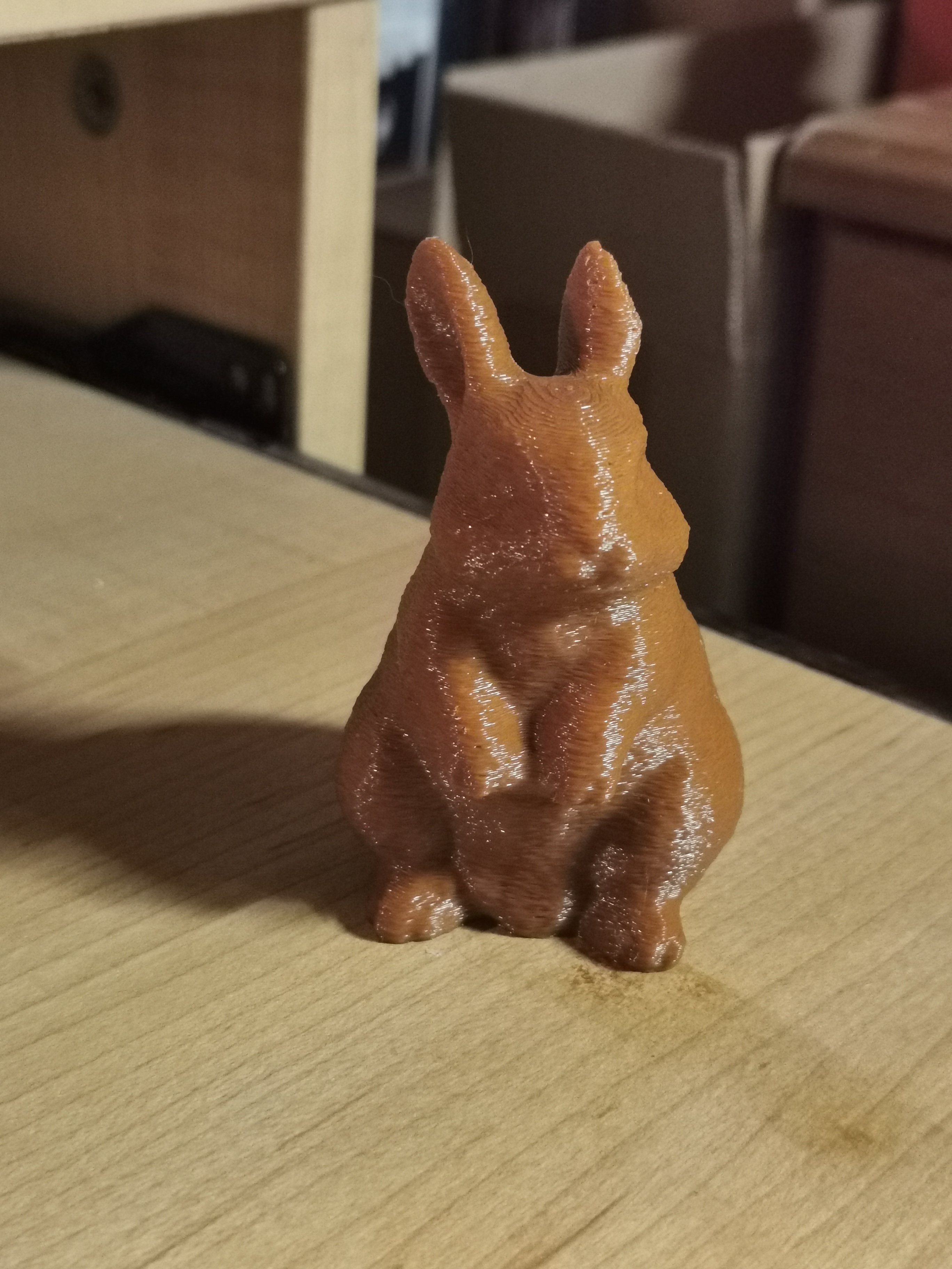 Bunny