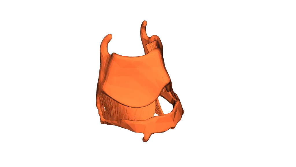 Printable Model Larynx by Viktor S, Download free STL model