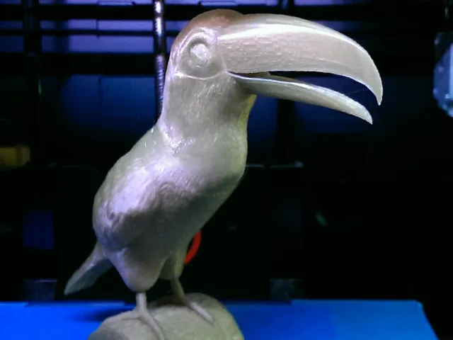 Toucan(EASY PRINT)