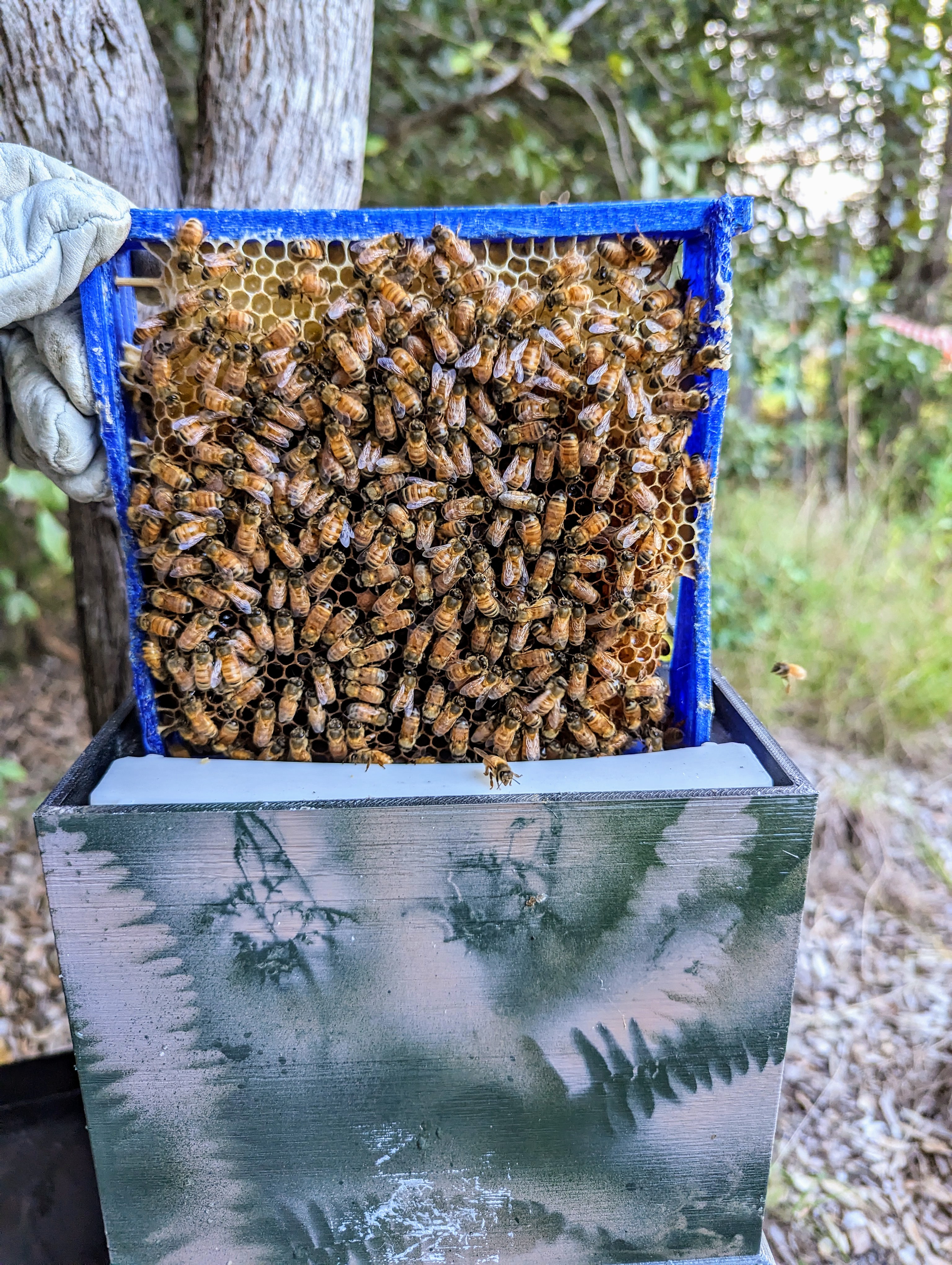 Miniatura 12 do modelo 3D Mini bee hive