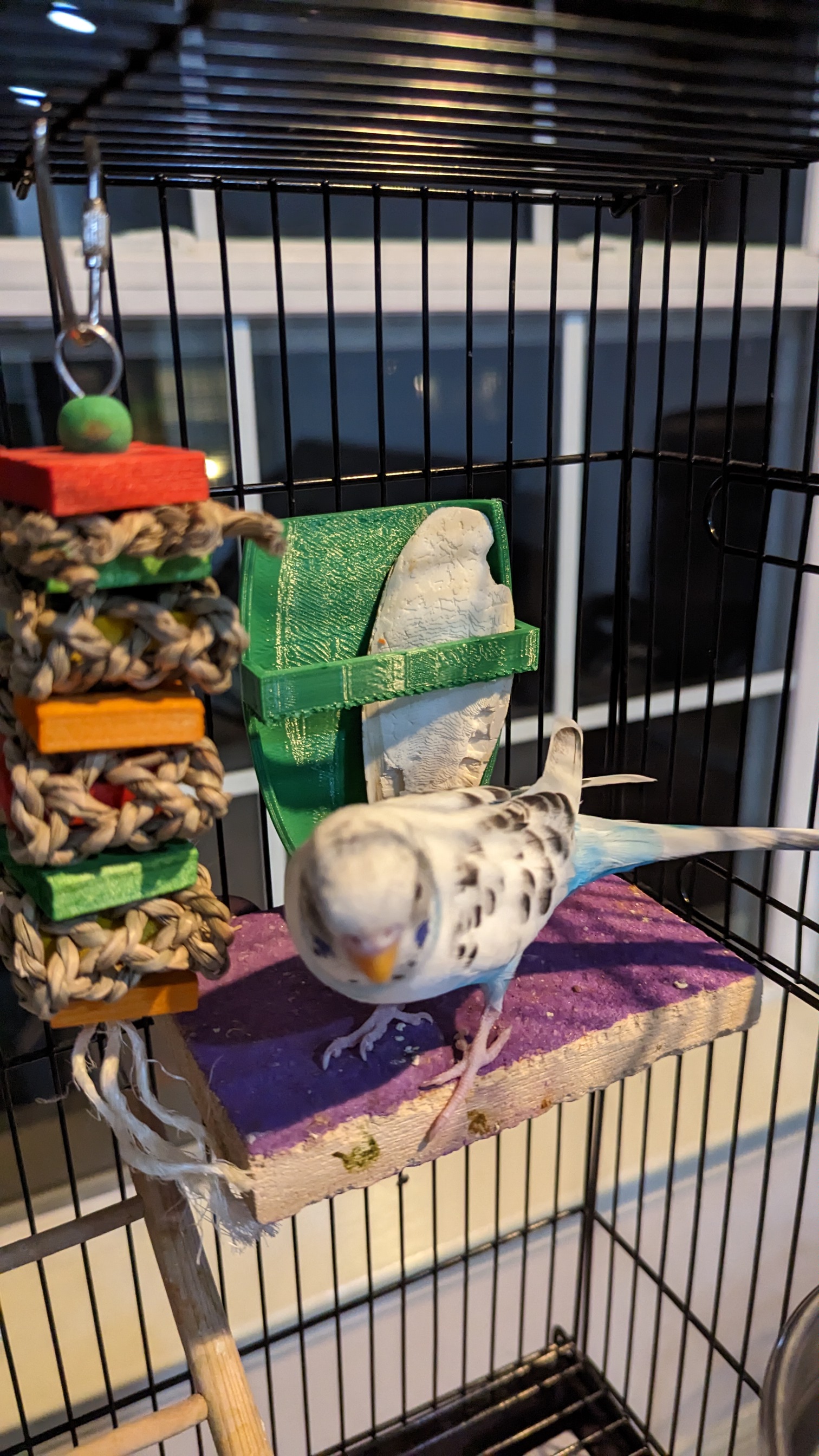 Cuttlebone Holder for Parakeets, Cockatiels, and Other Small Birds