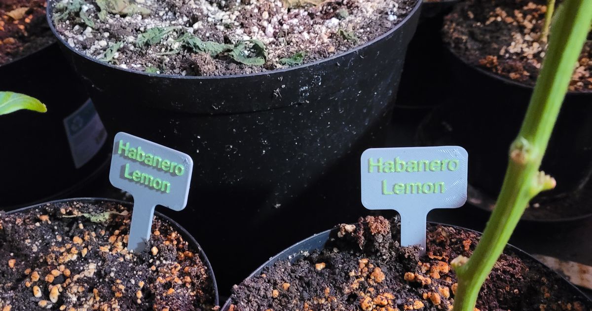 Basic Plant labels for garden and indoor, includes blank labels for