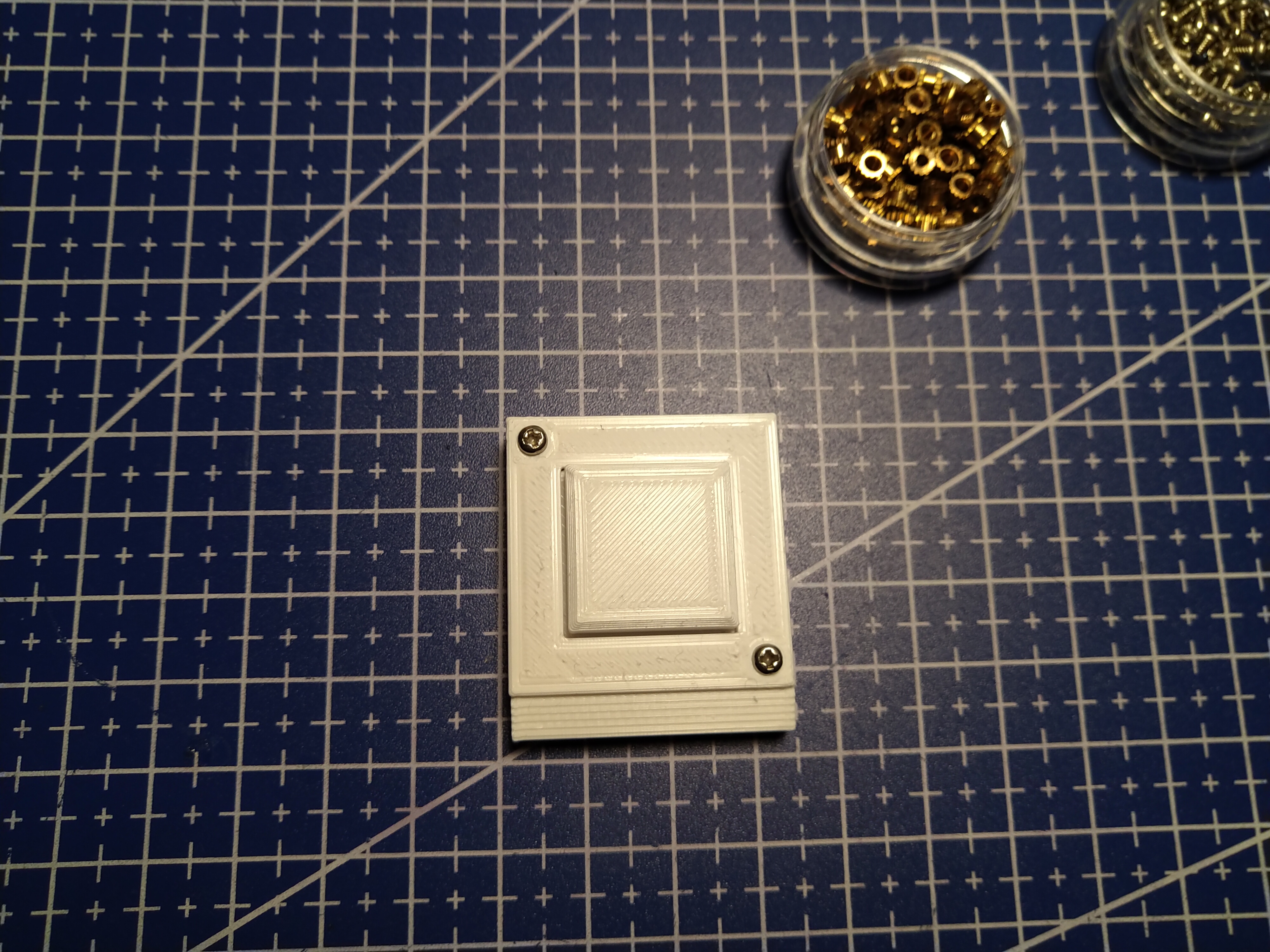 Microswitch button case