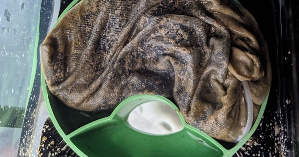 Media Basket for Reef Diaper 4" Filter Socks by Grievs Download free STL model