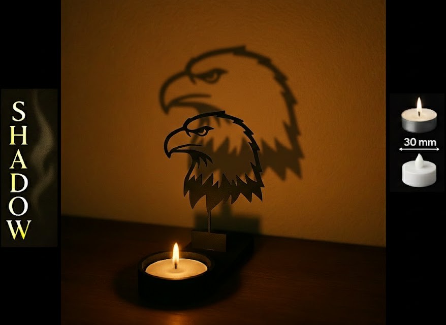 Shadow Art - Eagle