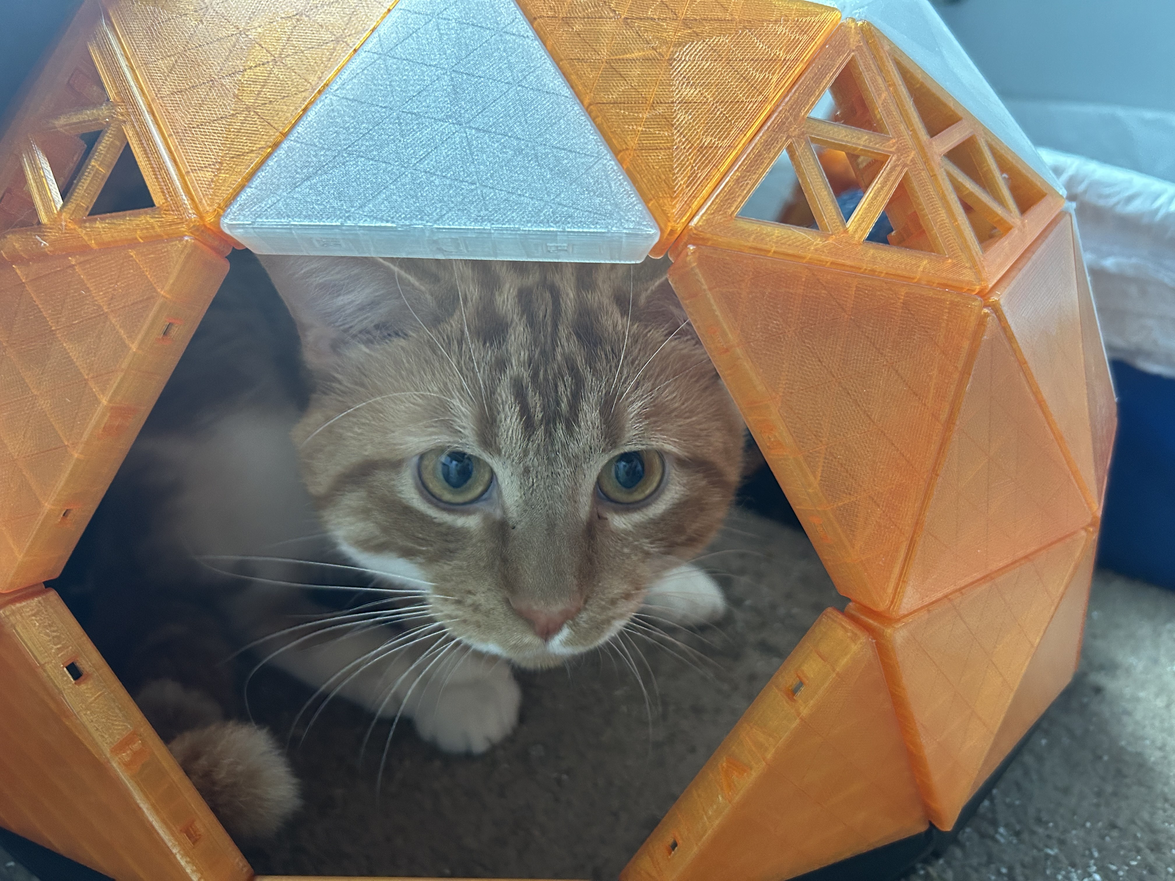 Geodesic Cat Dome Mods (Windows and Stand)