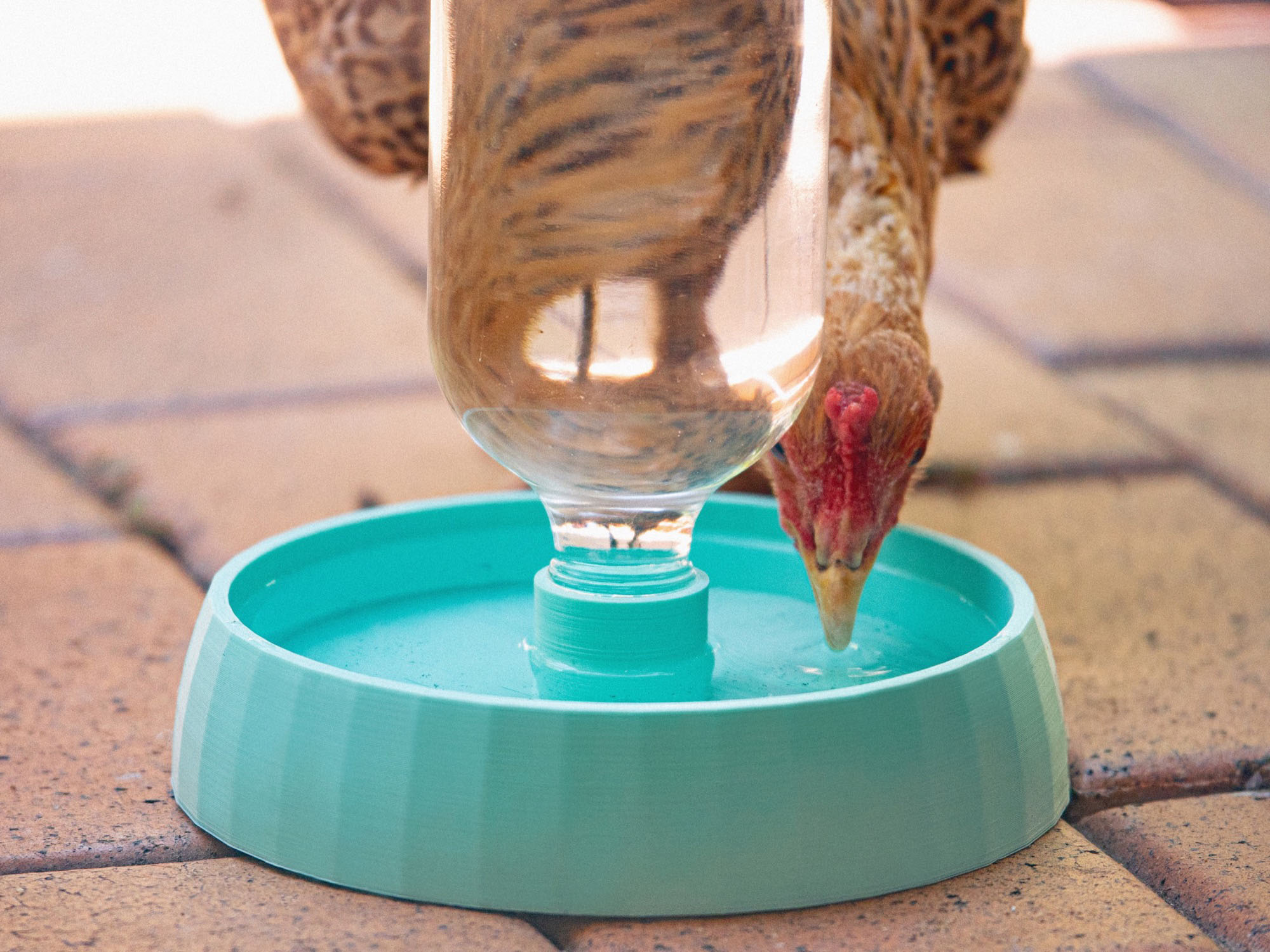 Sturdy Automatic Chook Water Bowl (Chicken Waterer)