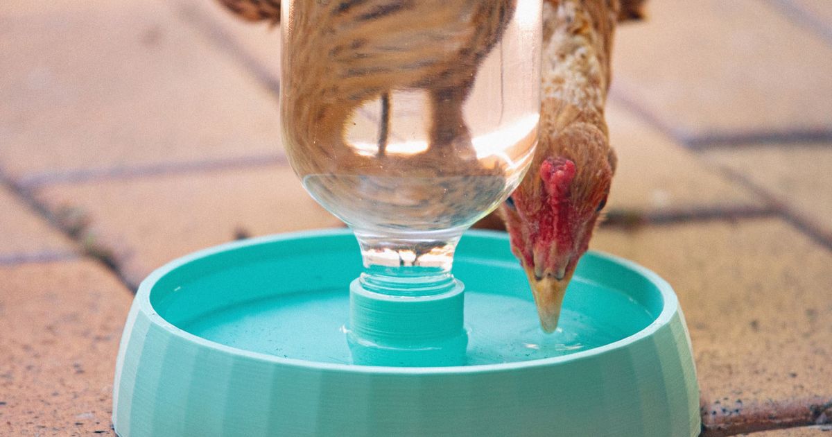 Sturdy Automatic Chook Water Bowl (Chicken Waterer) by PollyJeanius