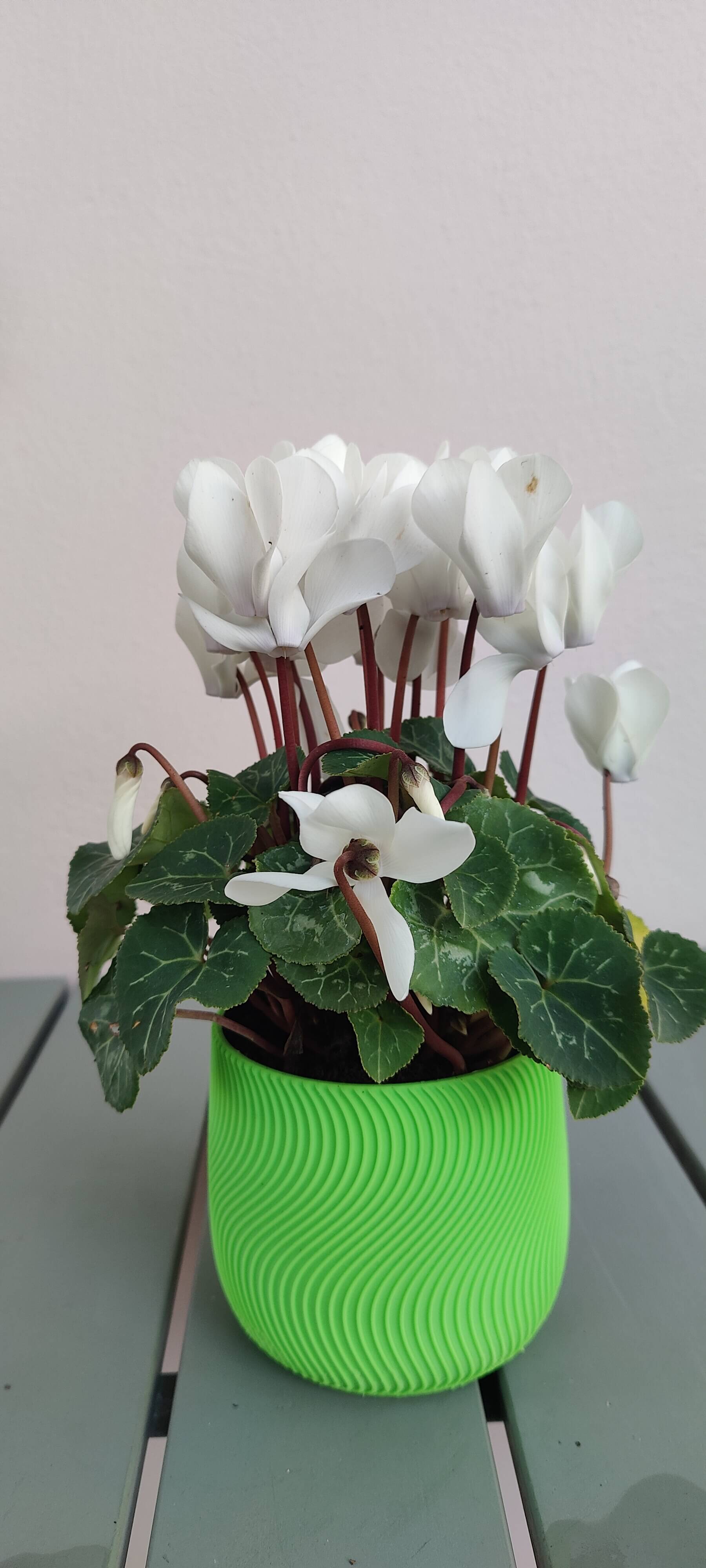 Yet another Spiral pot