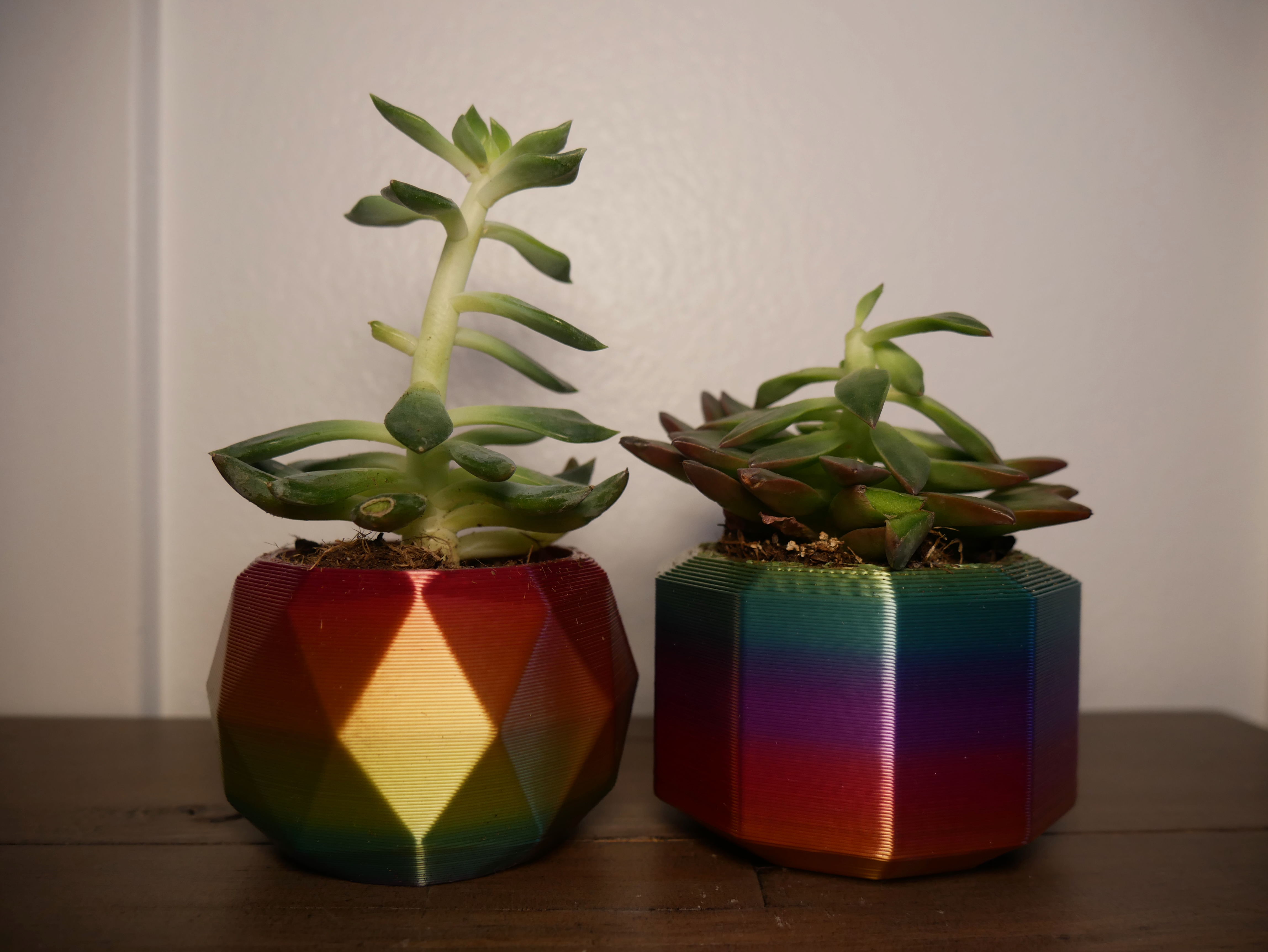 Succulent Pots